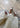 A4695 Off white lux nappa 73 - Off White Lux Nappa 73-Sandals-Billi Bi-Butler Loftet