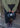 B1293 - MOGANO-Boots-Billi Bi-Butler Loftet