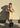 Barbour Rokig Wproof - Washed Stone /-Bovenkleding-Barbour-Butler Loftet
