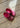 Classic Iridescent Glitter Clog - Dragon Fruit-Shoes-Crocs-Butler Loftet