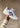 EX89 - White/Grand Shark-Shoes-Asics-Butler Loftet