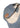 FN-UX-HATS000203 - Mid Blue-Headwear-Acne Studios-Butler Loftet