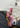 GAZELLE INDOOR - Bliss Pink-Shoes-Adidas Originals-Butler Loftet