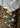 Hardwork Ripstop Cargo Pant Field Camo - Field Camo-Pants-OBEY-Butler Loftet