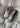 SAMBA OG - Ftwr White / Better Scarlet-Shoes-Adidas Originals-Butler Loftet