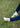 SHOES X-MISSION 4 SUEDE Turtledove/Moss - Turtledove/Moss Gray/Castor Gray Shoes845_L41748300_Turtledove/MossGray/CastorGray_36195751067331- Butler Loftet