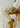 SPEEDCROSS 3 - Sulphur Spring / High Risk Red / Black-Shoes-Salomon-Butler Loftet