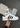 SUPERSTAR II - Ftwr White-Shoes-Adidas Originals-Butler Loft