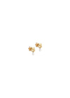 ENAMEL Copenhagens Studs, Mio Pearl - Pearls. Køb øreringe her.