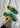 TOKYO - Groene schoenen-Adidas Originals-Butler Loftet