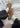W Tasman - Chestnut-Boots-UGG-Butler Loftet