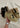 Wallabee - Maple Suede-Schoenen-Clarks Originals-Butler Loftet