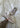 XT-6 EXPANSE SEASONAL - Lilac Ash / Cloud Gray / Shark-Shoes-Salomon-Butler Loftet
