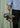 XT-WHISPER - Oxford Tan / Sedona Sage / Delicioso-Schoenen-Salomon-Butler Loftet