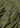Cargo Pants - Olive Pants847_710835172004_Olive_31/323616531006007- Butler Loftet