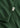 PACE T-SHIRT - Dark Green-T-shirts-Forét-Butler Loftet