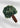 SPEAR T-SHIRT - White/Dark Green T-shirts773_F995_WHITE/DARKGREEN_L5714323096712- Butler Loftet