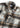 Sean 5265 - Khaki Check