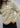W 100 Glacier 1/4 zip - Tea Green-Outerwear-The North Face-Butler Loftet